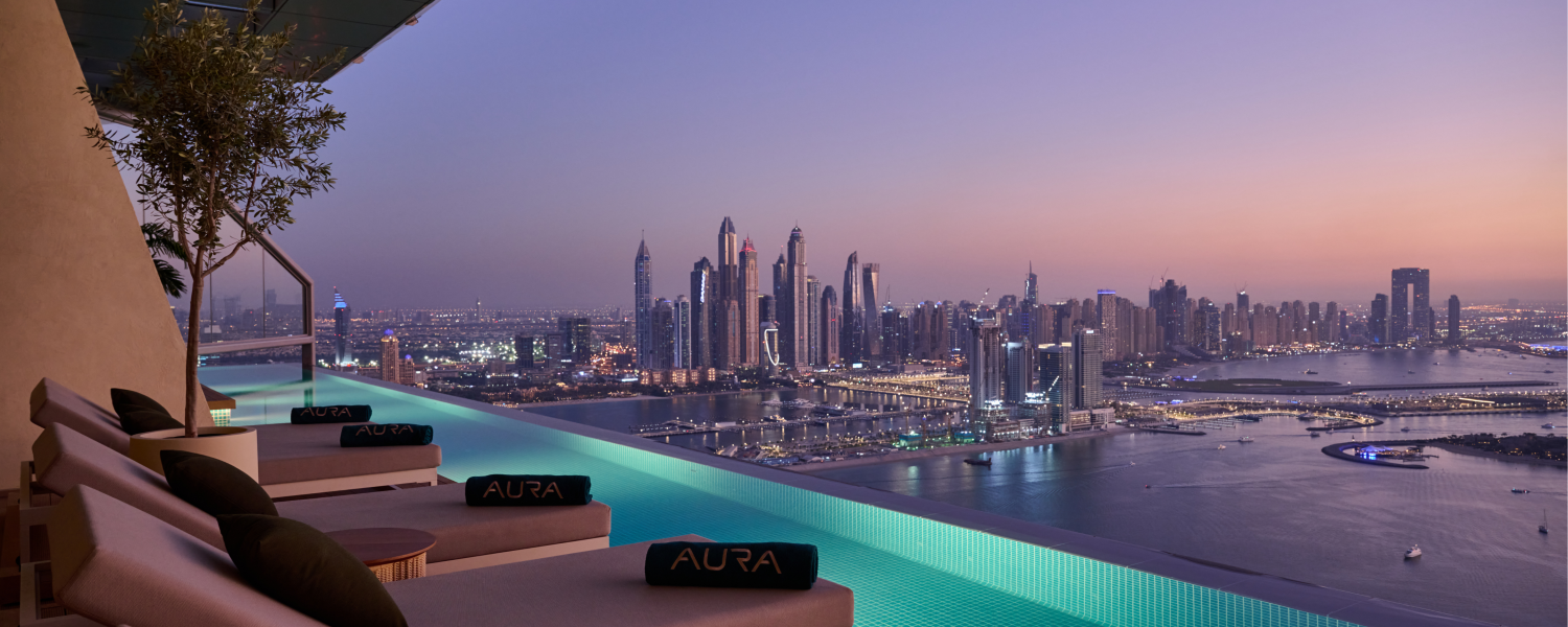 AURA SKY POOL WITH PRIVATE SUV TRANSFER - image 2